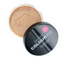 Technic Colour Fix Loose Powder - Kiss and Makeup NZ sand