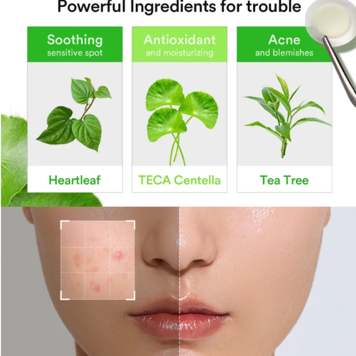 Abib Heartleaf Calming Spot Patch 78s great to relieve acne skin