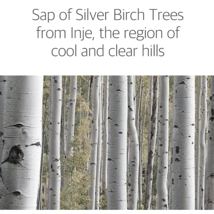 ROUND LAB Birch Juice Moisturizing Sunscreen so soft and gentle