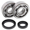 All Balls Crank Bearing and Seal Kit for Suzuki