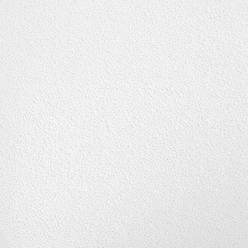 2 ft. x 2 ft. Brighton Drop Ceiling Tile (64 sq. ft./case)