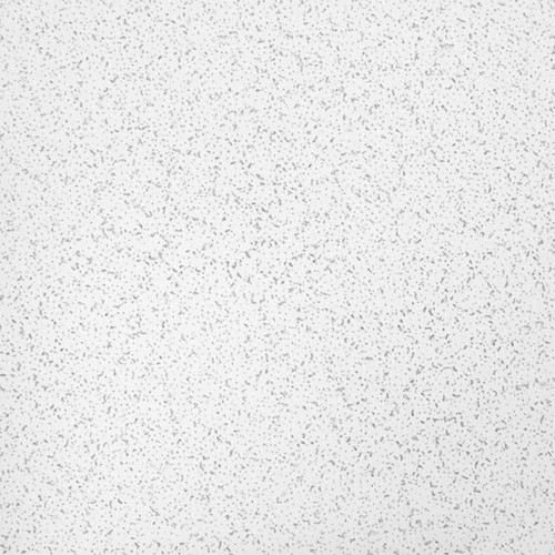 2 ft. x 2 ft. Textured Ceiling Tile (64 sq. ft./case)