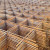 5 ft. x 10 ft. Weyerhaeuser 10ga Concrete Mesh, 6 in. x 6 in.