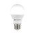 AMMO A1912WL5 A19 LED Light Bulb 100W Equivalent - Non-Dimmable - Daylight (4-Pack)