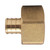 3/4 in. x 1 in. Brass PEX Barb x FPT Adapter