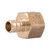 1 in. PEX x Female Adapter
