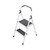 2-Step Steel Lightweight Step Stool Ladder with 225 lbs. Load Capacity Type II Duty Rating