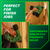 Metabo HPT NT1865DAA | 18V MultiVolt™ Brushless Pro 15-GA Angled Finish Nailer (1x2.0Ah)