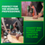 Metabo HPT DS18DEX | 18V MultiVolt™ 1/2" Cordless Brushless Driver Drill Kit (2 x 2.0Ah)