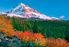 Mount Hood - Magnet