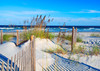 Beach Scene (sign) - Postcard