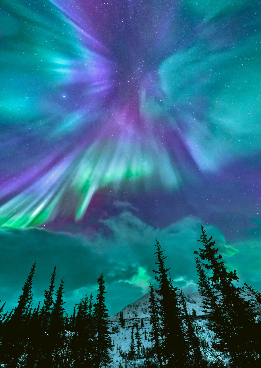 Aurora 14 Postcard aurora-14-postcard