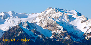 Hurricane Ridge, Washington Long Card Hurricane Ridge, Washington Long Card