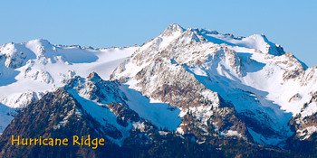 Hurricane Ridge, Washington Long Card