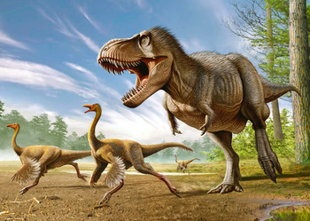 T-Rex Hunting Struthiomimus - Postcard