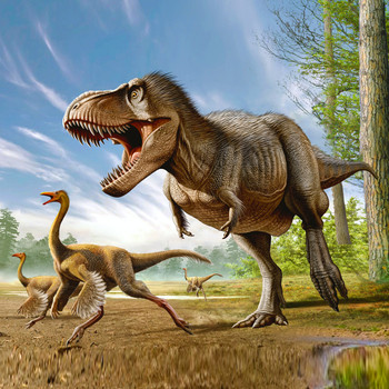 T-Rex Hunting Struthiomimus Maxi Card