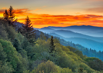 Appalachian Mountains - Postcard