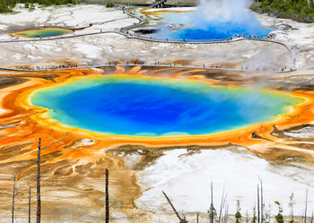 Yellowstone, Grand Prismatic Spring - Postcard