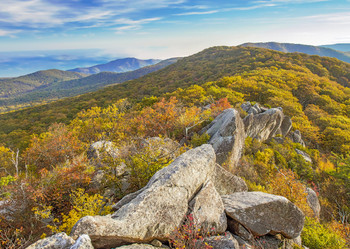 Shenandoah - Postcard