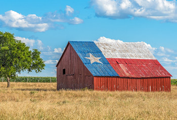 Texas Barn and Bluebonnets - Magnet