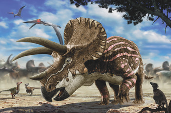 Triceratops  - Postcard