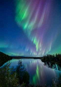 Aurora 18 - Postcard