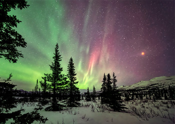 Aurora 20 - Postcard