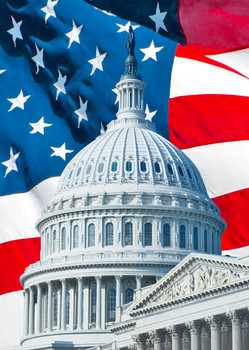 US Capitol and flag - Postcard