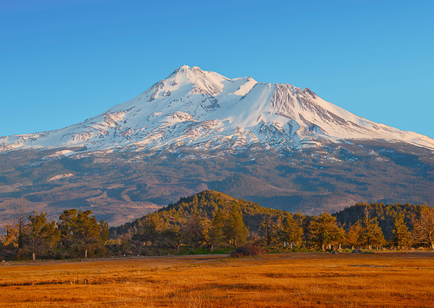 Mount Shasta, CA - Postcard