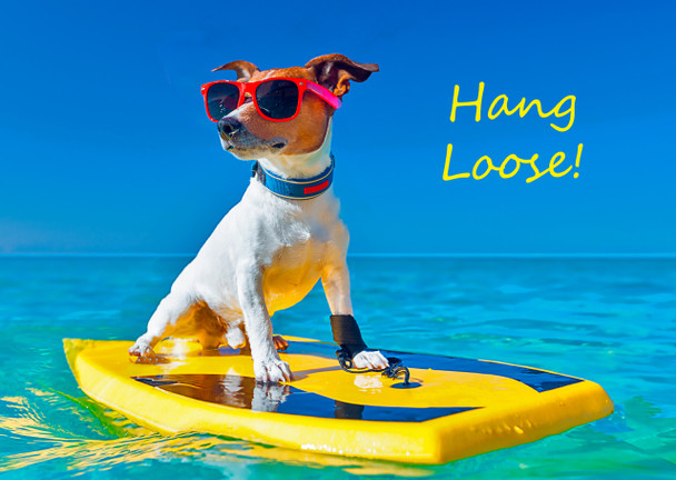 Hang Loose - Postcard