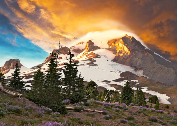 Mount Hood, OR - Postcard