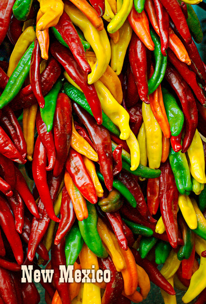 Chile Peppers - Magnet New Mexico