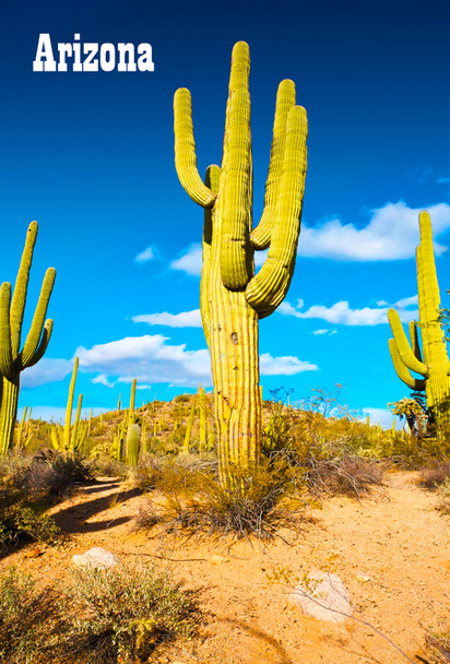 Saguaro Cactus - Magnet Arizona