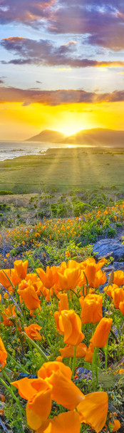 California Coast - Bookmark