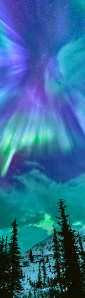 Aurora 14 - Bookmark