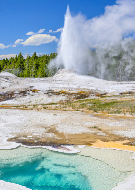 Yellowstone, Heart Spring and erupting Lion Geyser - Postcard
