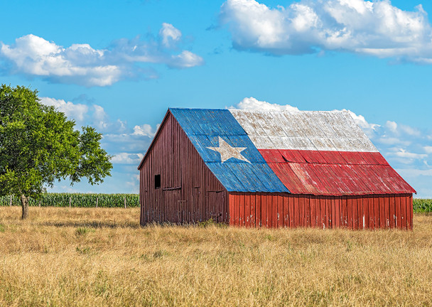 Texas Barn and Bluebonnets - Postcard