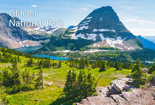 Glacier Nat Park, Logan Pass - Magnet