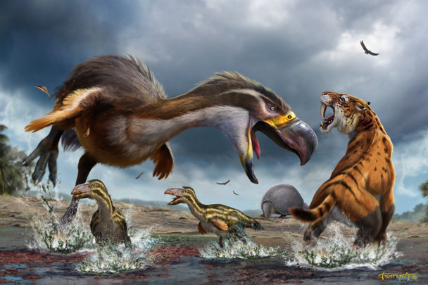 Terror bird attacking Smilodon  - Postcard