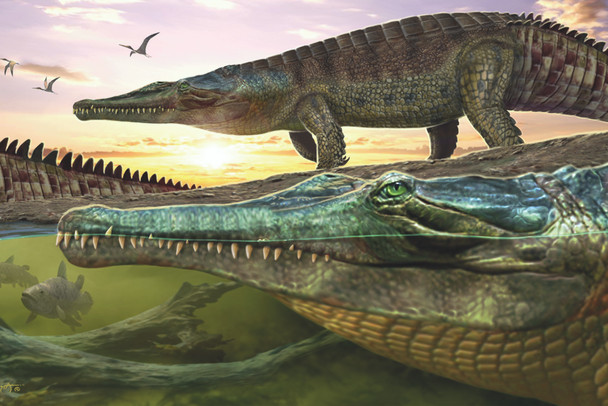 Phytosaur  - Postcard
