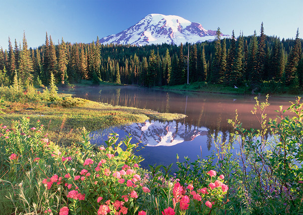 Mt Rainier, Reflection Lake - Postcard.
