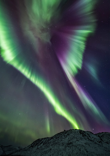 Aurora 19 - Postcard