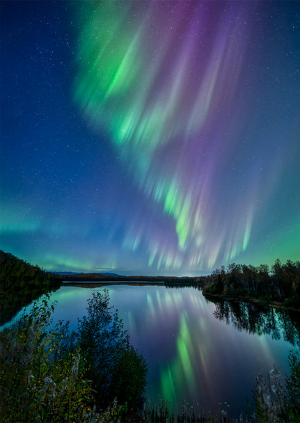 Aurora 18 - Postcard