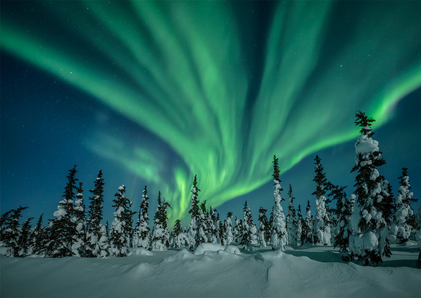 Aurora 17 - Postcard