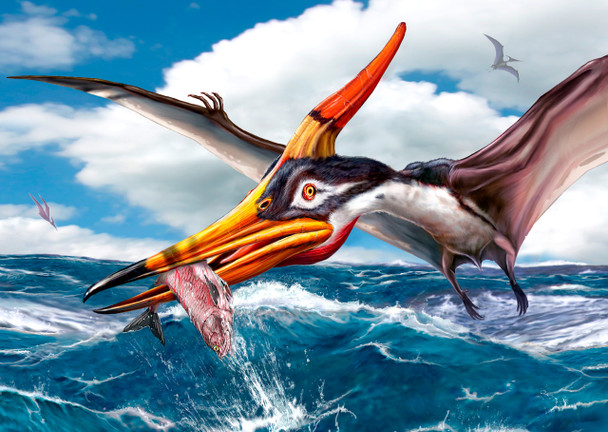 Pteranodon Fishing - Postcard