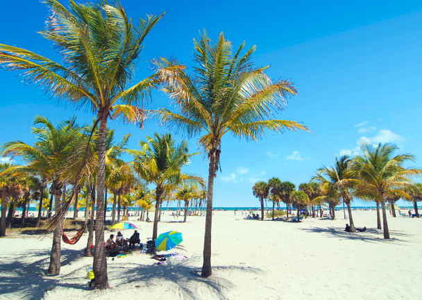 Sandy Beach and Palms - Postcard