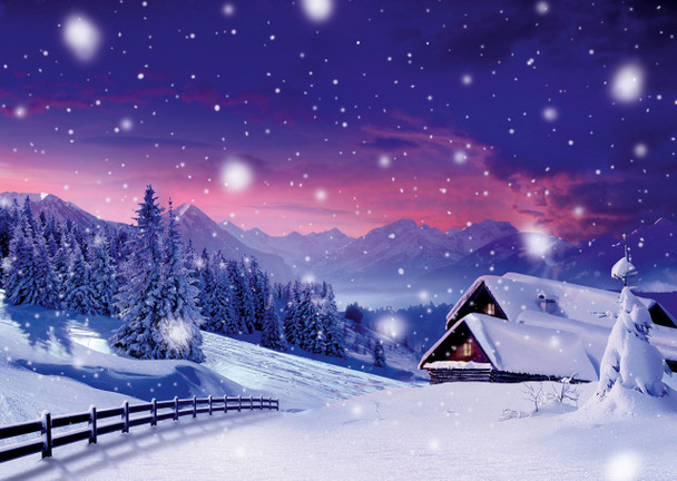 Winter Wonderland - Postcard