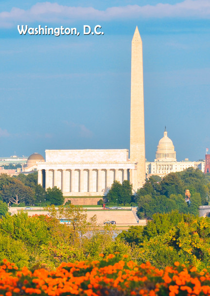 Washington Monument - Postcard