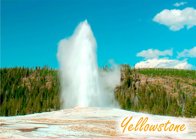 F165 Chrome Advertising Postcard 6x9 Yellowstone Old Faithful Geyser 