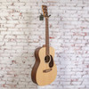 Martin 00-X2E COCO 00-X2E,Sitka/Cocobolo HPL w/Sof Case